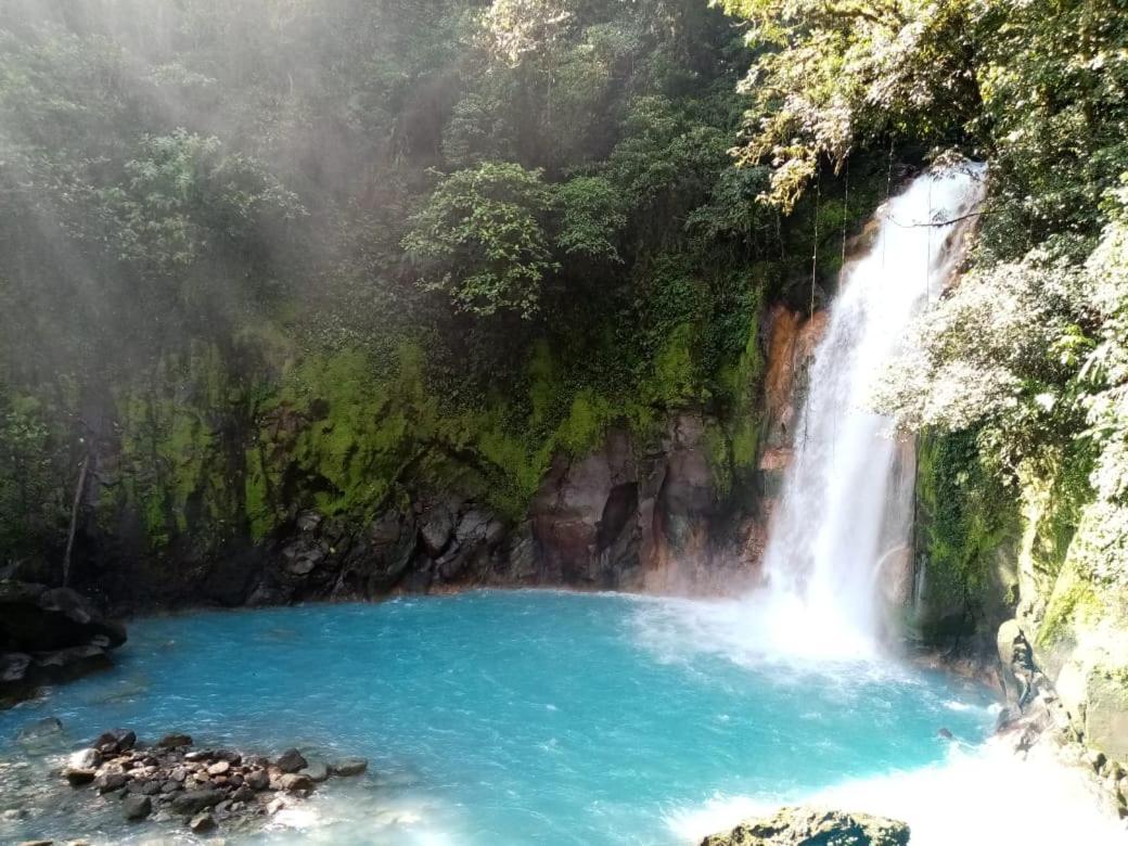 Posada Rio Celeste In Bed & Breakfast Dış mekan fotoğraf