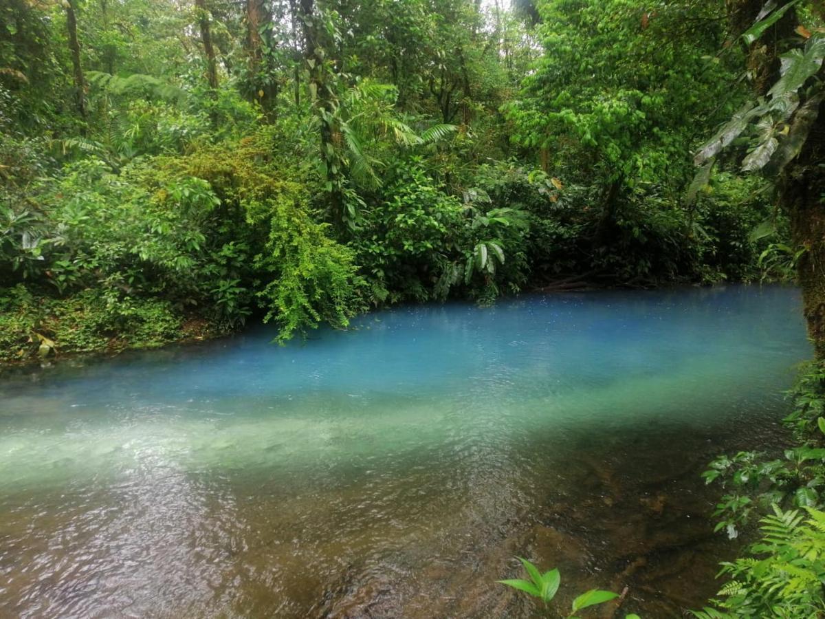 Posada Rio Celeste In Bed & Breakfast Dış mekan fotoğraf
